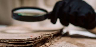 The paradox of independence: freedom at the cost of connection The paradox of independence: freedom at the cost of connection