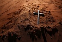 The seasons of (un)belief in Christopher Hitchens The seasons of (un)belief in Christopher Hitchens