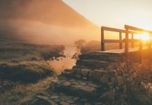 To be or to become? That is the question To be or to become? That is the question