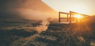 To be or to become? That is the question To be or to become? That is the question