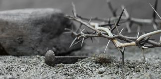 Aurelius Augustine Aurelius Augustine