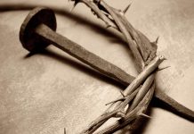 1,000 years later 1,000 Years Later