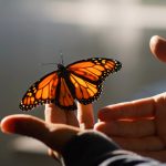 The delicate burden of truth, or how to catch butterflies in a minefield
