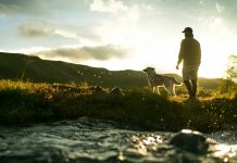 Anxiety vs abundance: cultivating a better mindset Anxiety vs abundance: cultivating a better mindset