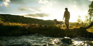 Anxiety vs abundance: cultivating a better mindset Anxiety vs abundance: cultivating a better mindset