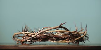 Contemporary with Passion Week Contemporary with Passion Week