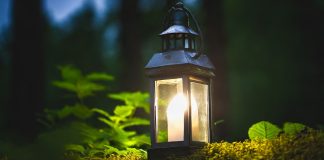 Recognition of dignity Recognition of dignity