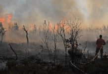 The culture of disasters The culture of disasters