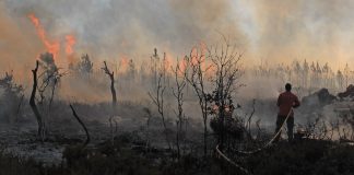 The culture of disasters The culture of disasters