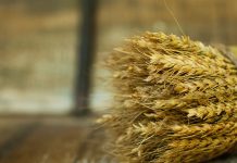 Gold medal for fourth place