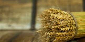 Gold medal for fourth place