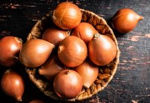 God and the onion test