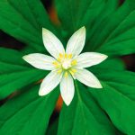 dreamstime_xxl_19992610