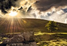 The diamond with 1,000 facets | Aspects you didn’t consider when reading the biblical account of creation