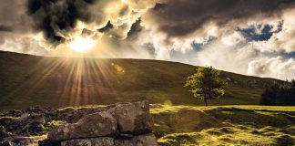 The diamond with 1,000 facets | Aspects you didn’t consider when reading the biblical account of creation