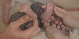 The quest for perfection among today’s parents The quest for perfection among today's parents