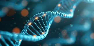 The driving forces of evolution