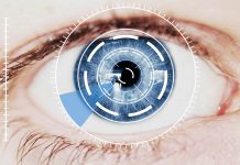 The evolution of the eye