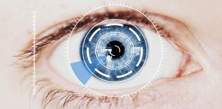 The evolution of the eye