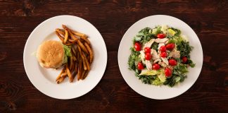 Perceptions of balanced nutrition in the digital age