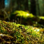 dreamstime_m_103477792 (1)