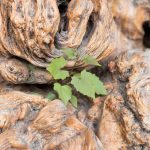 dreamstime_m_71625920 (1)