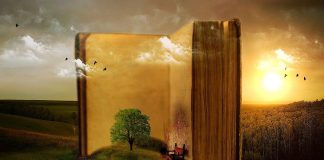 Dislike for the likes that manipulate us