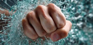 Violence: an exploration of its origins, perpetuation, and eradication