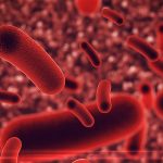 dreamstime_xl_75580073_exp