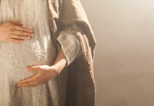 Autumn also has its spring