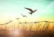 The second reason to forgive: the “Justice” you refuse to let die will not let you live