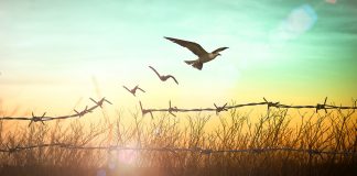 The second reason to forgive: the “Justice” you refuse to let die will not let you live