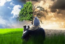 From the “last call for climate” to the fundamentals of a sustainable lifestyle