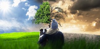 From the “last call for climate” to the fundamentals of a sustainable lifestyle
