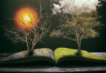 “Theodicy of Love: Cosmic conflict and the problem of evil” | Book review