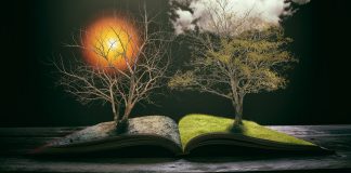 “Theodicy of Love: Cosmic conflict and the problem of evil” | Book review